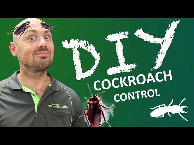 Cockroach Treatment from BUNNINGS?! (DIY Pest Control)