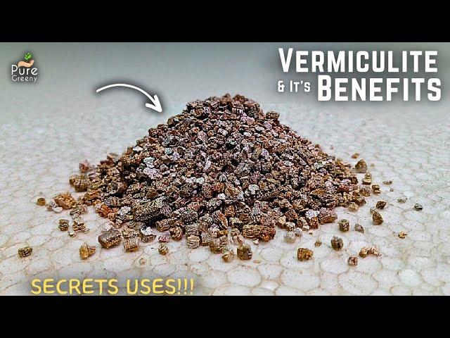 How To Use Vermiculite For Plants? [Its Benefits & Side Effects*]