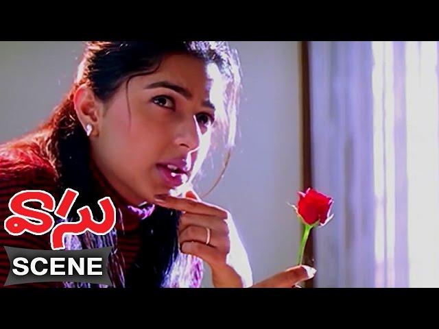 Bhoomika Loves Venkatesh Scene || Vasu Telugu Movie || Venkatesh, Bhumika Chawla, Sunil