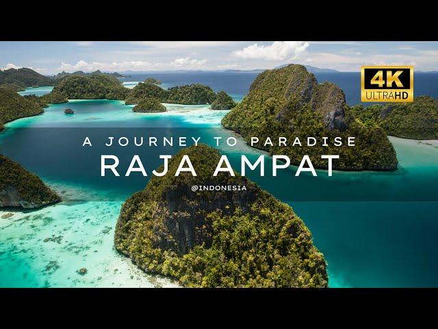 RAJA AMPAT 4K (UHD) CINEMATIC‼️A Journey to Paradise - Relaxing #beautiful #underwater #indonesia