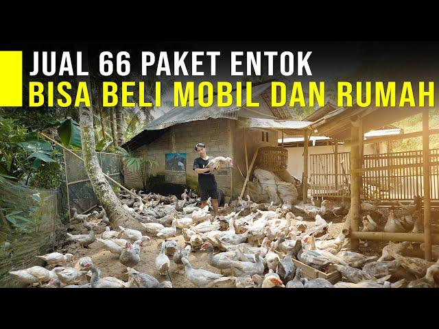 Pengusaha Muda 22 Tahun Ternak Entok Bisa Beli Mobil dan Rumah