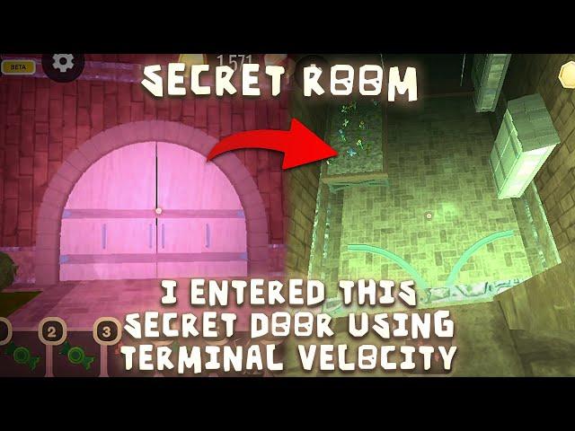 I Tried Your Crazy Ideas in Doors #23 | Enter Secret Door Using Terminal Velocity | Doors Roblox