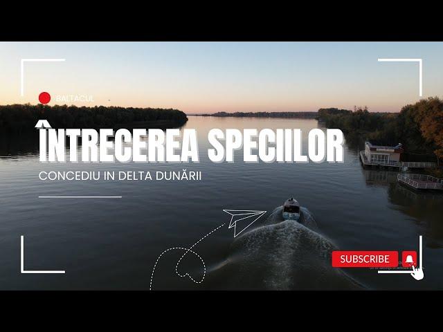 Intrecerea speciilor : Pescuit in concediu in Delta Dunarii, pe bratul Babina