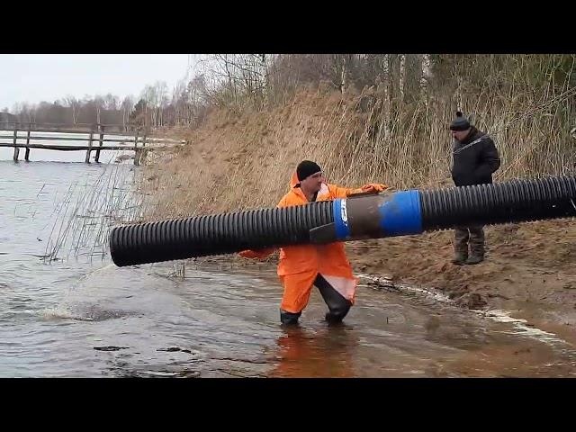 ЗАРЫБЛЕНИЕ 1-го ПРУДА. Владимировка 08.04.2022