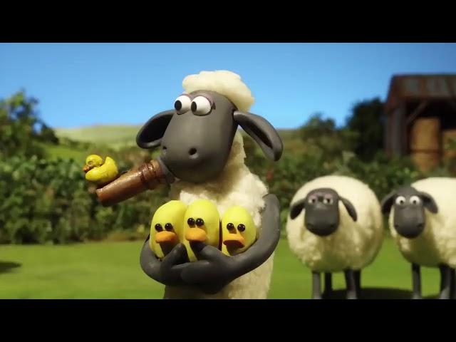 Shaun The Sheep S03E08   Hard to Swallow