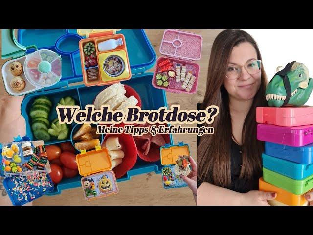 Welche Brotdose? Meine Tipps & Erfahrungen