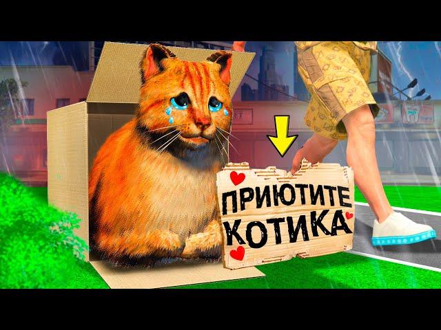 ЭТОГО КОТЁНКА НИКТО НЕ ХОЧЕТ ПРИЮТИТЬ В ГТА 5 ! Я СТАЛ КОТОМ НА 24 ЧАСА В GTA 5