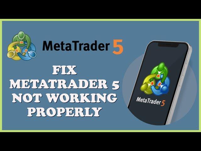 How to Fix MetaTrader 5 Not Working Properly 2024?