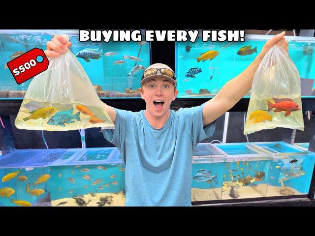 I BOUGHT EVERY FISH IN THE PET STORE! (EXPENSIVE)