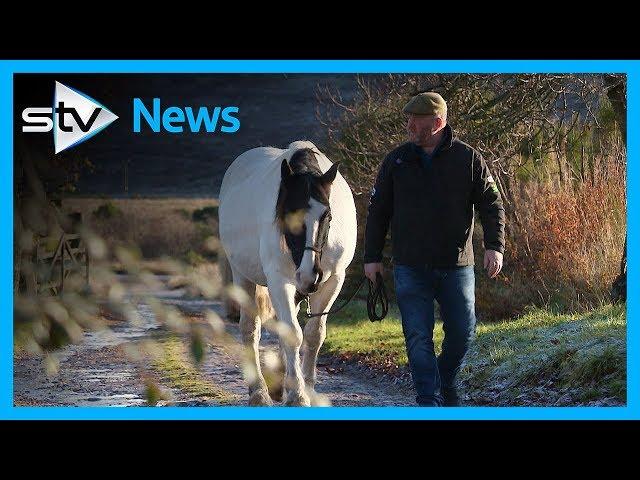 Veteran's bond with horse helps his PTSD recovery