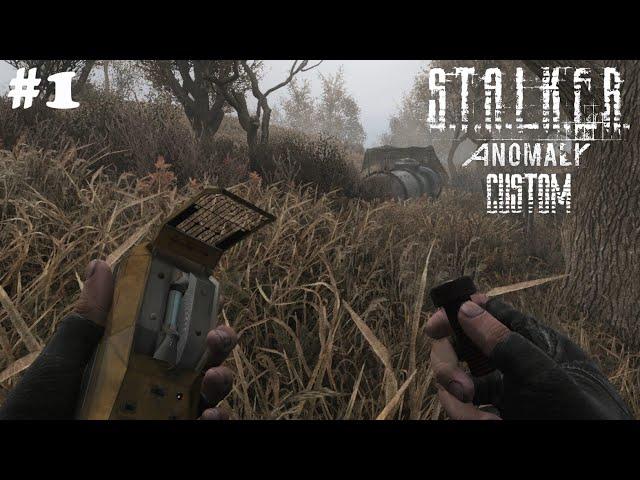 "КАСТОМНЫЙ" СТАЛКЕР - STALKER ANOMALY CUSTOM #1