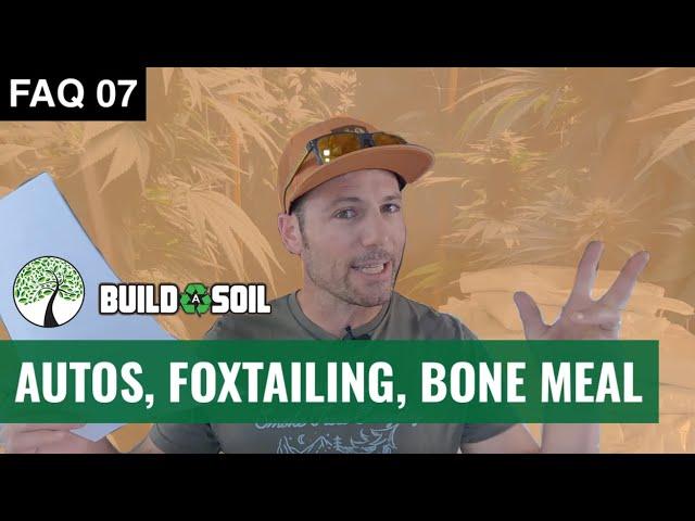 BuildASoil: HOW DO ADAPT BAS SCHEDULE FOR AUTO FLOWERS (Season 6, FAQ 07)