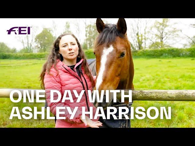 24-hours at a livery yard! ⏰ w/ @ashleyharrisoneventing #24HoursWithMyHorse w/ Boehringer Ingelheim