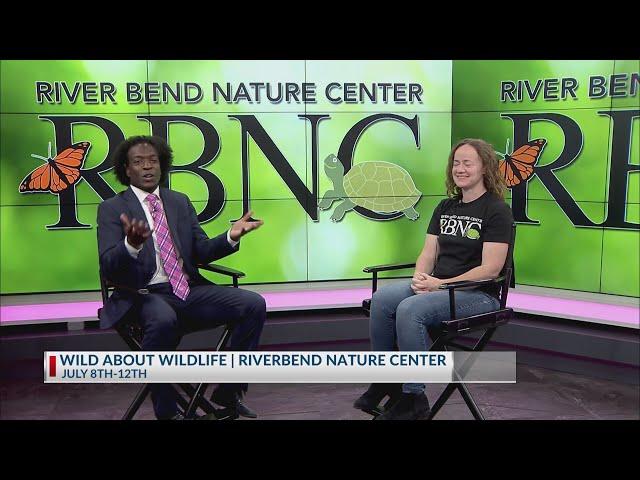 Get "Wild About Wildlife" at River Bend Nature Center's day camp