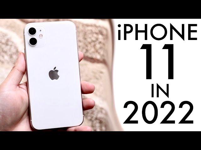 iPhone 11 In 2022! (Still Worth It?) (Review)