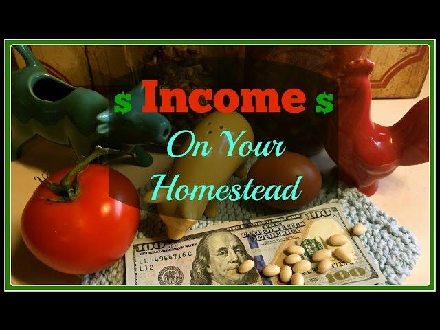 Make Money From Your Homestead~