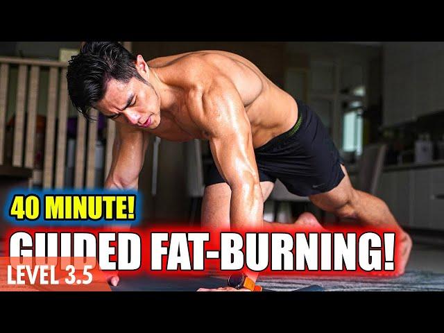 [Level 3-4+] 40 Minute Intensive Fat Burning! (with warm up & cool down)