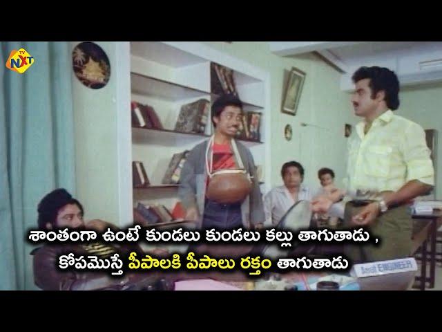 Balakrishna Movie Bhargava Ramudu Comedy Scene | Latest Telugu Comedy Scenes | TVNXT Comedy