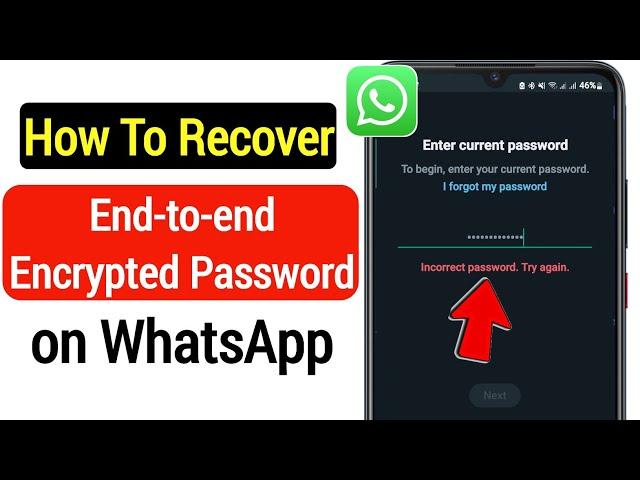 How to Reset WhatsApp Encrypted Password | Recover WhatsApp End to End Encrypted Password (2023)