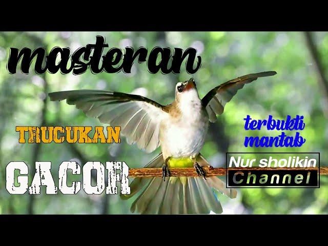 MASTERAN TRUCUKAN GACOR FULL ISIAN