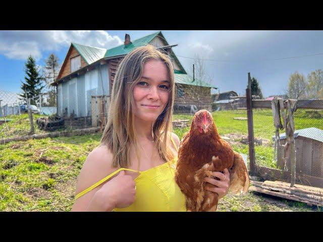 The life of a young family in a Russian village - we start farming