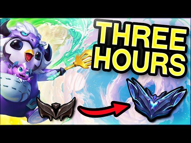 THIS is how you CLIMB to DIAMOND in 3 HOURS with ANY TFT COMP