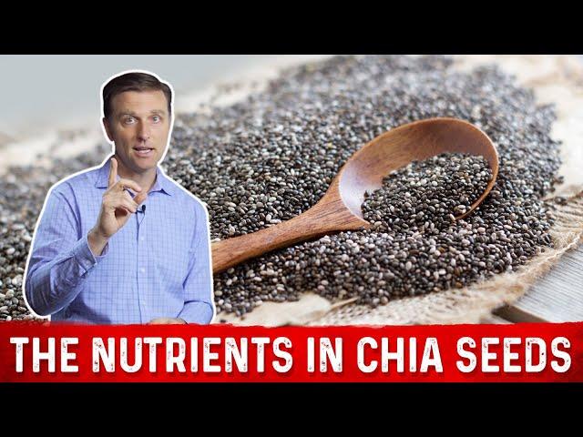 Chia Seeds: Amazing Source of Essential Fatty Acids – Dr. Berg