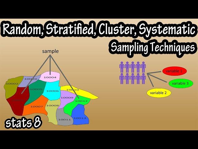 What Are The Types Of Sampling Techniques In Statistics - Random, Stratified, Cluster, Systematic