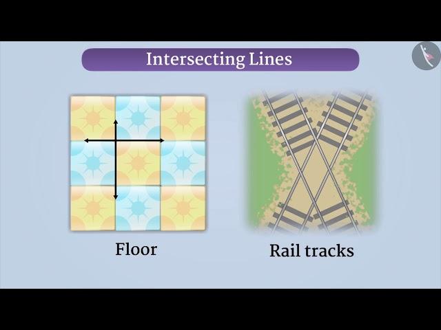 Intersecting and Parallel Lines | Part 1/3 | English | Class 6