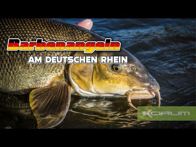 BARBENANGELN am deutschen Rhein! SO räumst du am FLUSS ab!