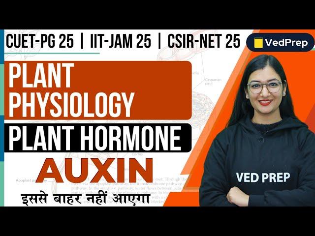 Plant Physiology | Plant Hormone | Auxin |CUET PG 25|IIT JAM 25|CSIR NET 25| VedPrep Biology Academy