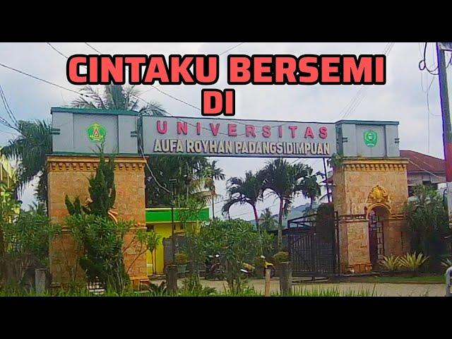 CINTAKU BERSEMI DI UNIVERSITAS AUFA ROYHAN PADANG SIDEMPUAN