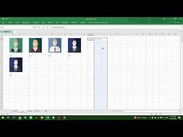 INSERT PICTURES  &  AUTO RESIZE WITH SELECTED CELLS (EXCEL VBA)