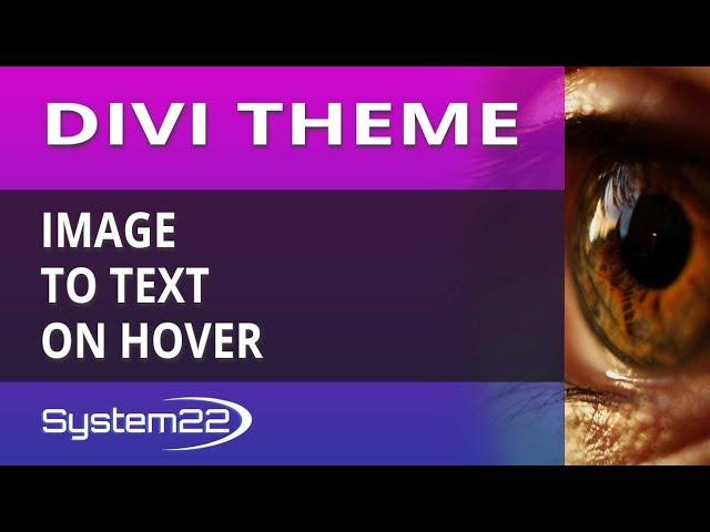 Divi Theme Image To Text On Hover 