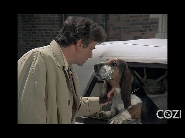 12 Things About "Dog" | Columbo | COZI Dozen