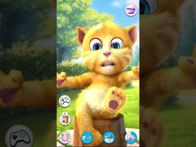 my ginger talking tom cat  and fun funny video games #video #talkingtomcat #shortvideo #cat