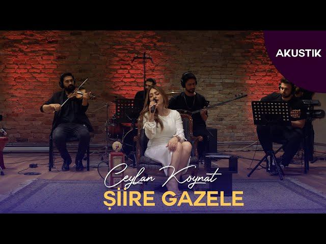 Ceylan Koynat - Şiire Gazele (Cover)