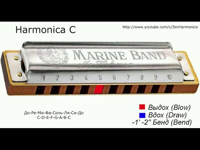 C major scale on diatonic harmonica C