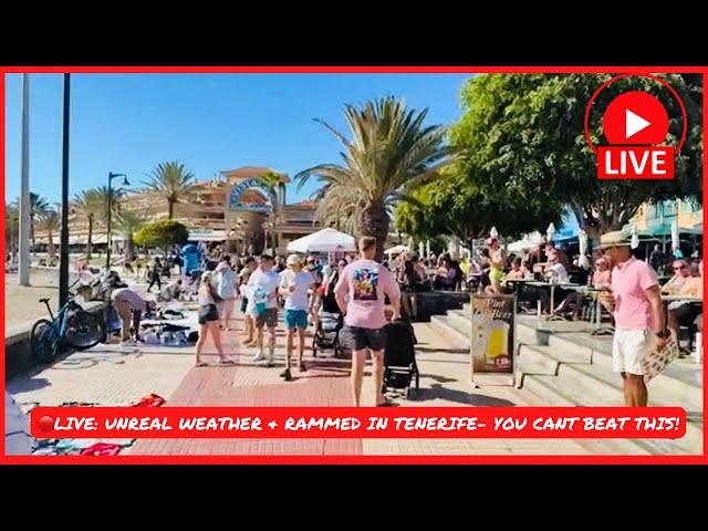 LIVE: YOU CAN’T BEAT THIS!  STUNNING WEATHER in Tenerife today & BUSY beaches ️