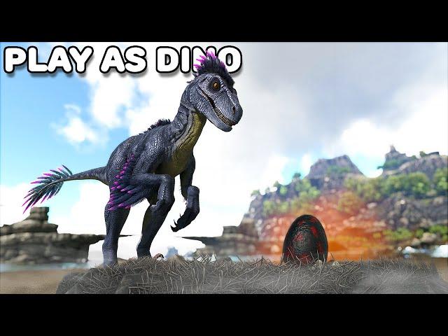 THEY TRIED TO STEAL MY EGGS | PLAY AS DINO | ARK SURVIVAL EVOLVED