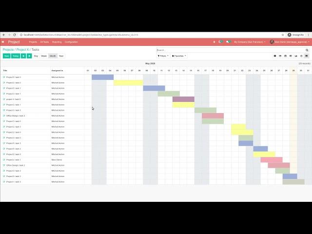 Odoo Project Gantt View