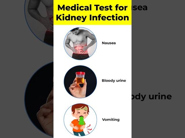 Medical Test for Kidney Infection | Kidney Diseases  #short #shorts #shortvideo