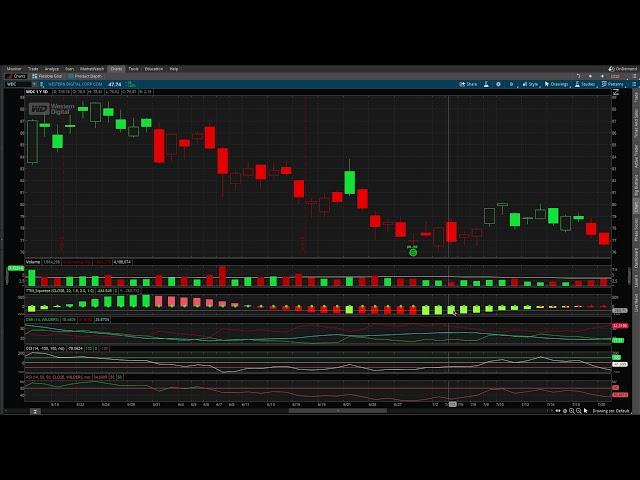 Option Trading with Steve's Indicator setup