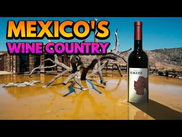 The Food & Wine Of Mexico's Wine Country.