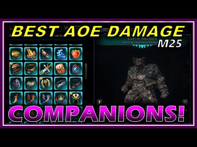 The BEST Multi Target (aoe) Damage Companions in Module 25! (tested over 20 so far) - Neverwinter