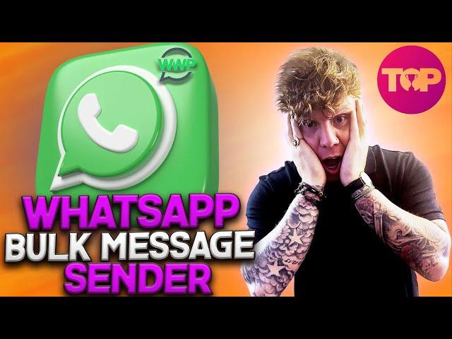 Whatsapp Bulk Message Sender  Which is The Best Bulk WhatsApp Sender?