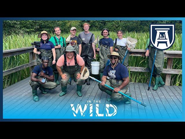 Into the Swamp we go as AU’s newest Eco Explorers  | In the Wild