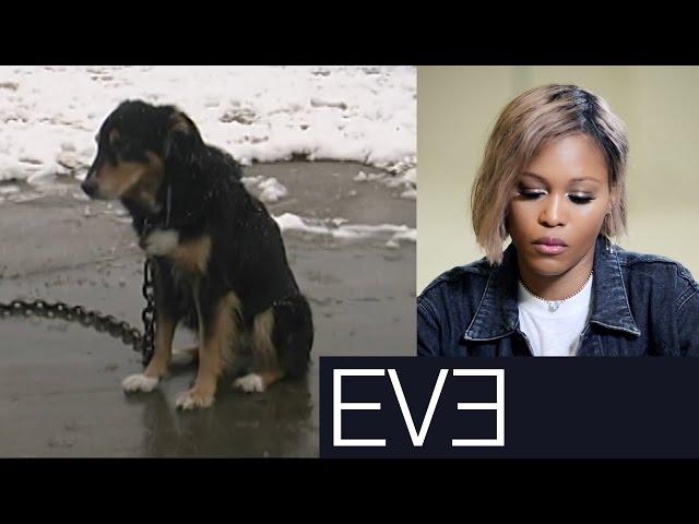 Rapper EVE Sees the Starved, Abused Dogs PETA Helps