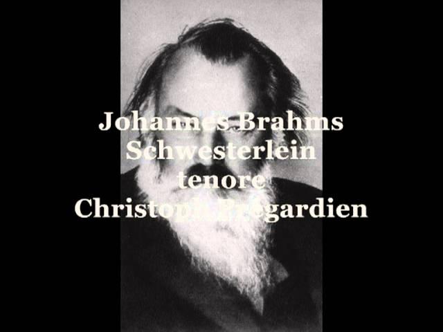 Brahms Johannes, Schwesterlein   (tenore Christoph Prégardien)