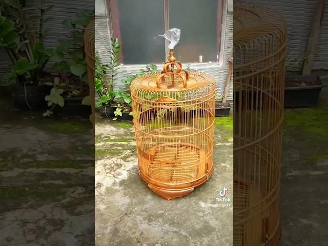 SANGKAR BURUNG MURAI BATU BAHAN KAYU JATI BERKUALITAS FINISHING NATURAL, BISA CUSTOM SESUAI KEINGIN